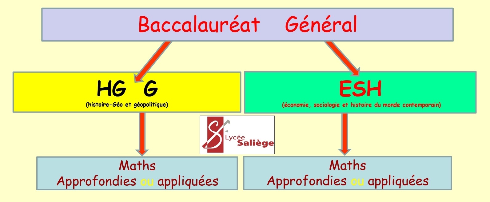 Cursus ECG - laquelle des quatre filières dois-je choisir